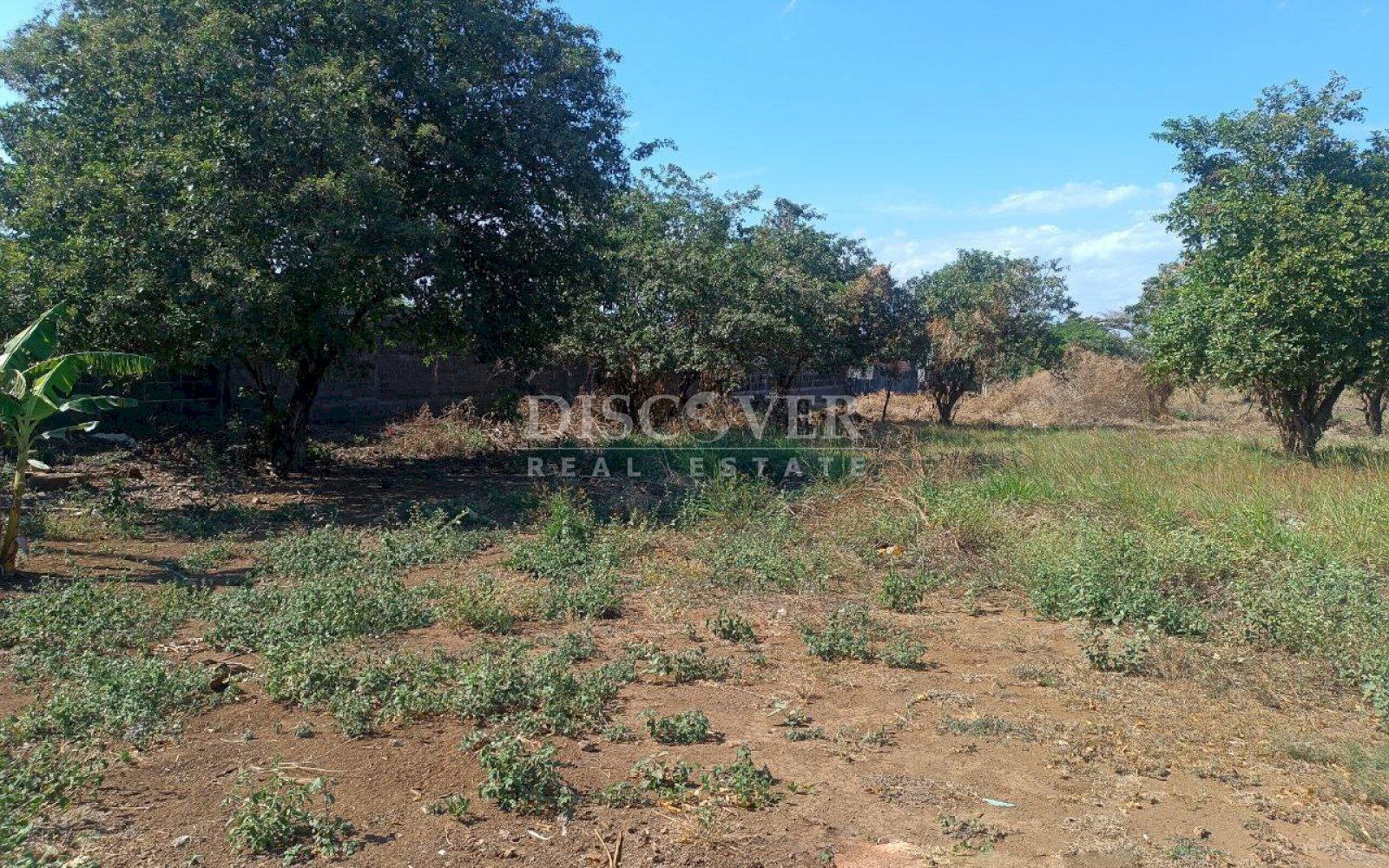  Land for sale close to El Mayoreo market