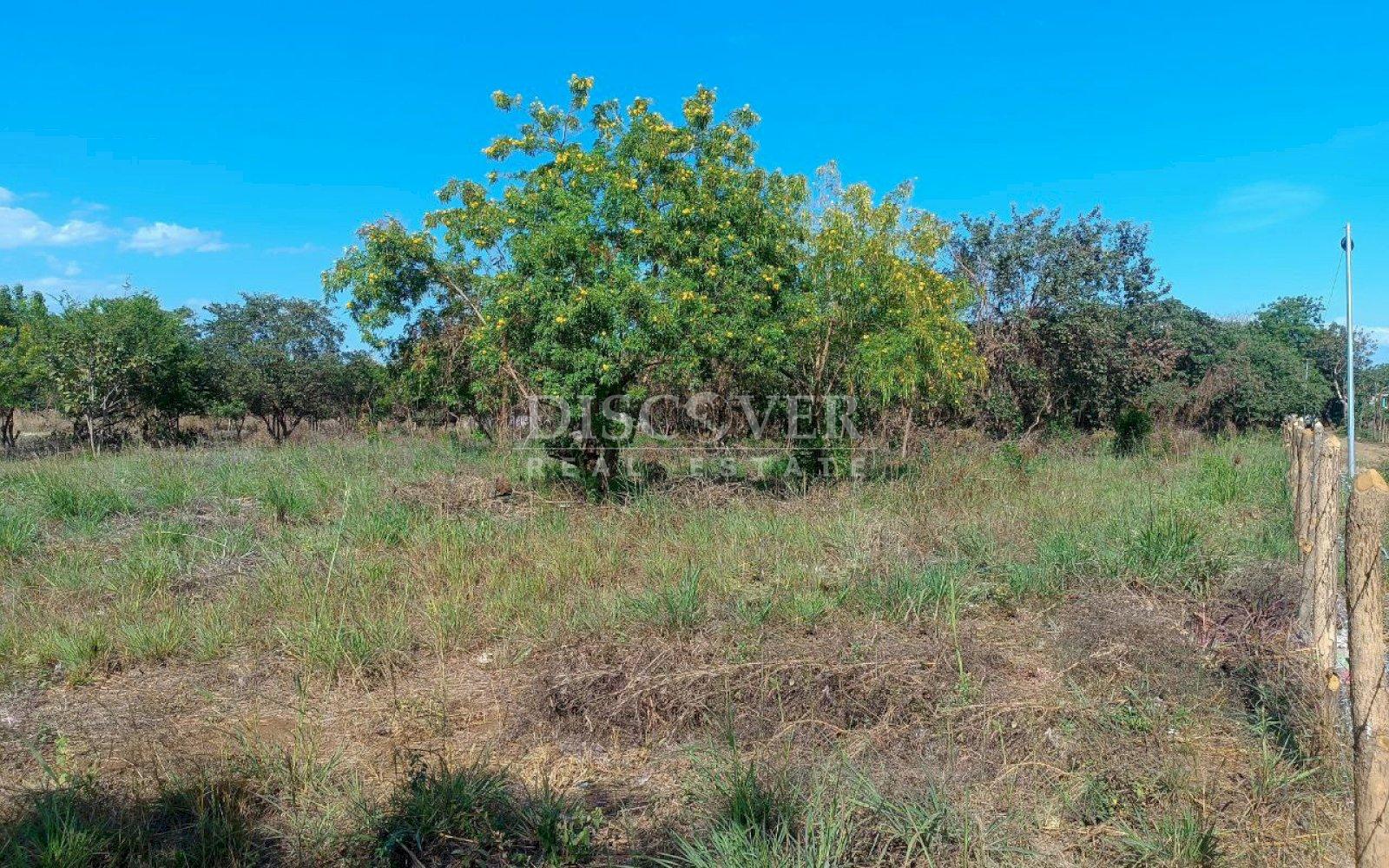  Land for sale close to El Mayoreo market