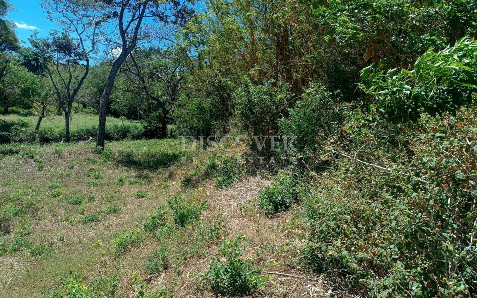  Ideal Land for Residential Development in San Isidro de la Cruz Verde
