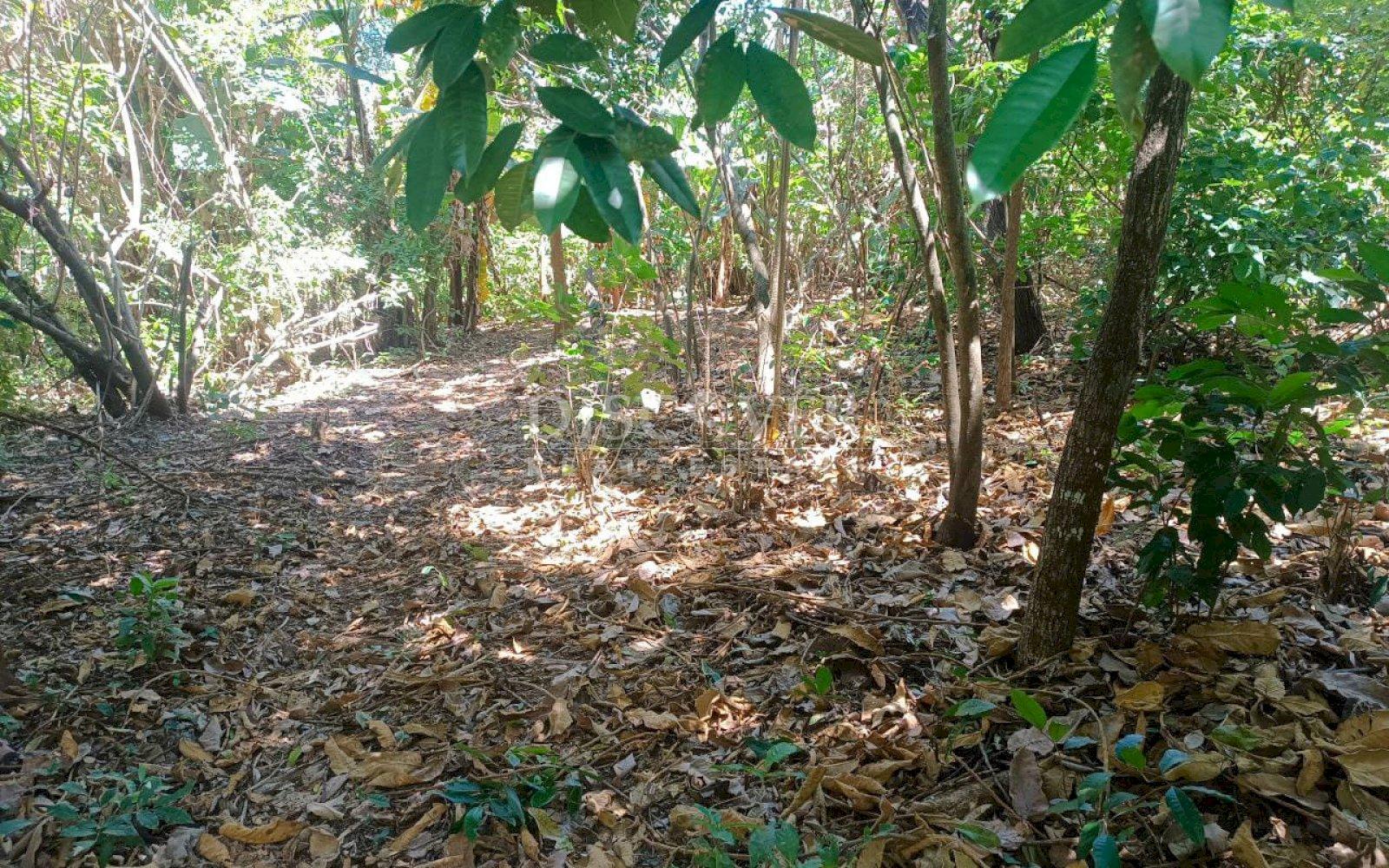  Ideal Land for Residential Development in San Isidro de la Cruz Verde
