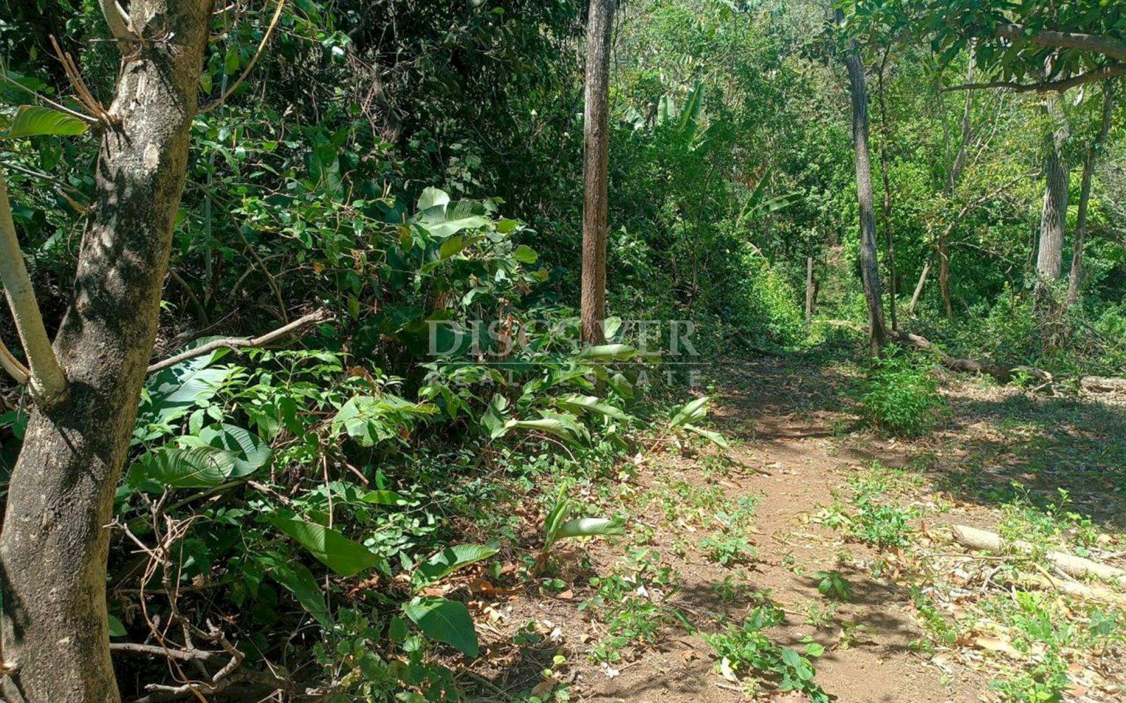  Ideal Land for Residential Development in San Isidro de la Cruz Verde
