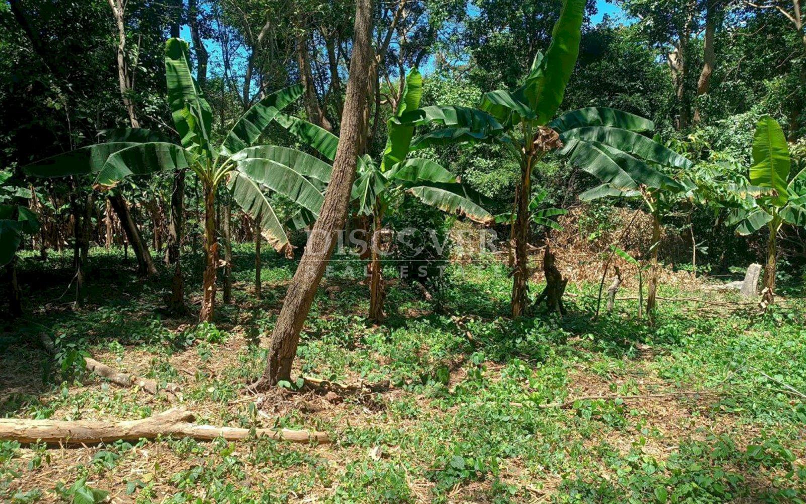  Ideal Land for Residential Development in San Isidro de la Cruz Verde
