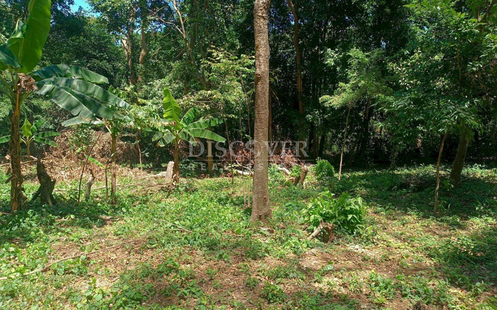  Ideal Land for Residential Development in San Isidro de la Cruz Verde
