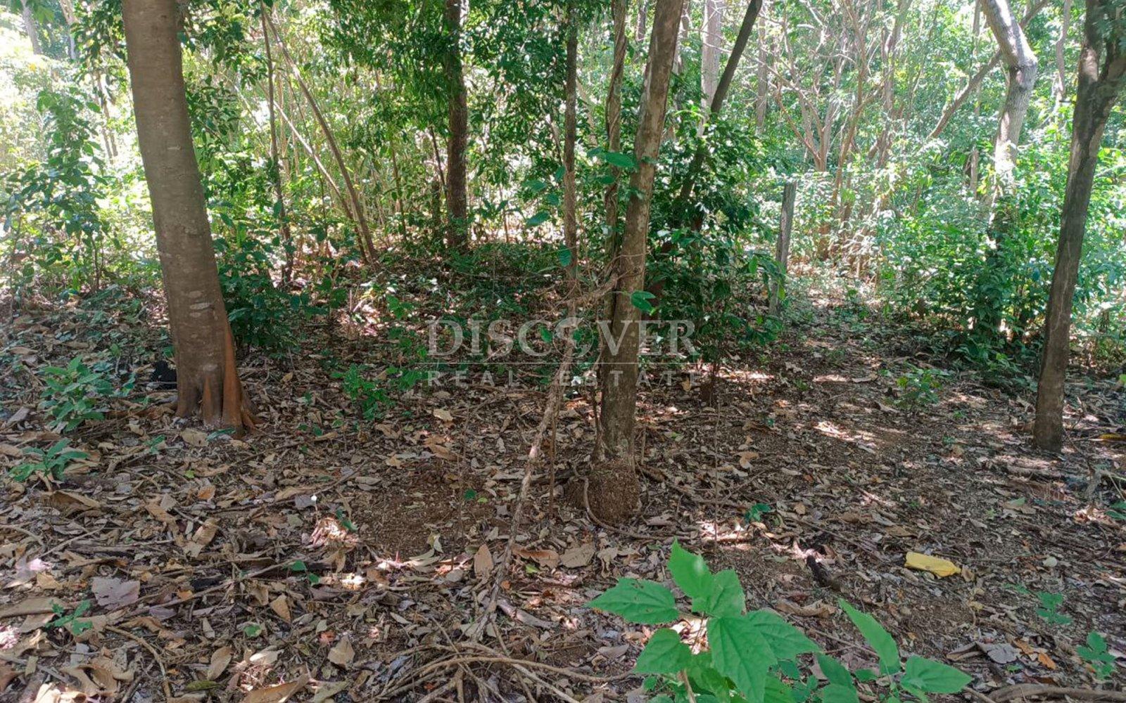  Ideal Land for Residential Development in San Isidro de la Cruz Verde
