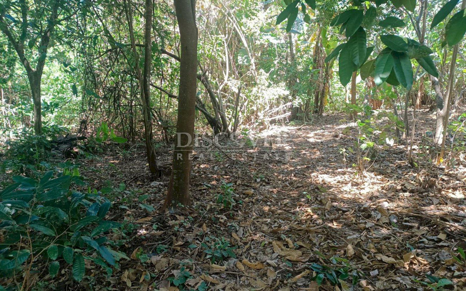  Ideal Land for Residential Development in San Isidro de la Cruz Verde
