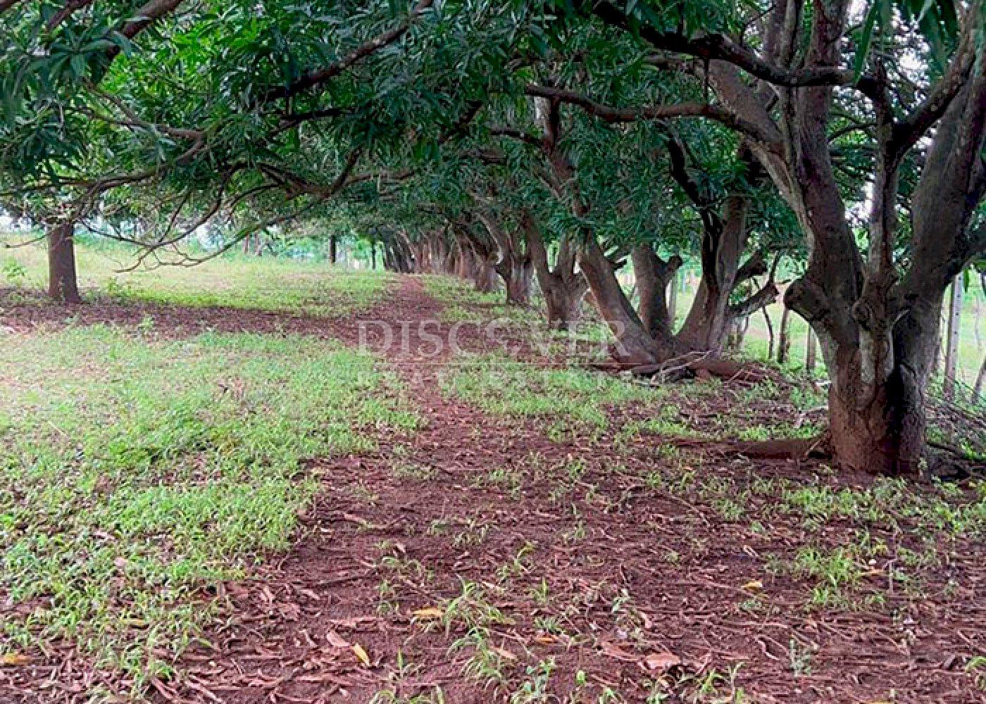Imagen 1 de la galería