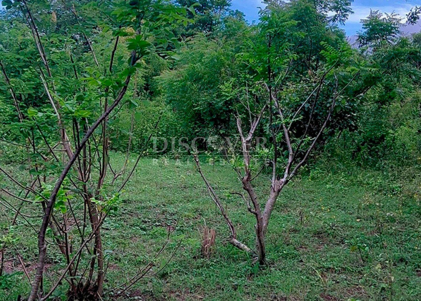 Imagen 4 de la galería