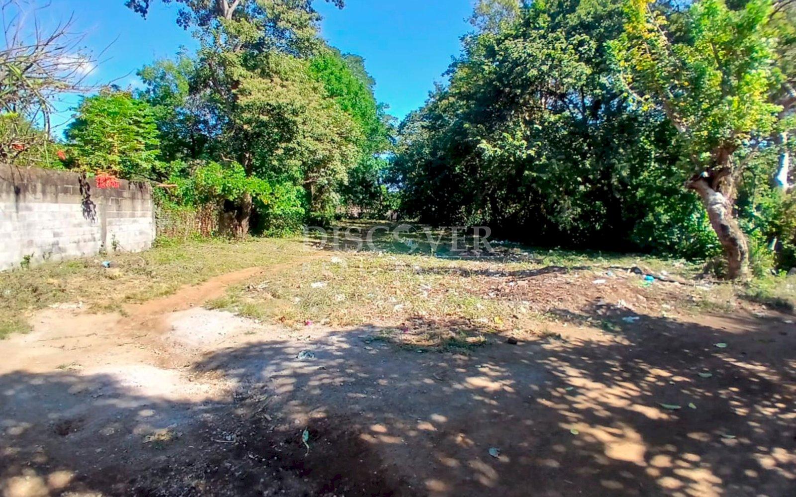 Imagen 1 de la galería