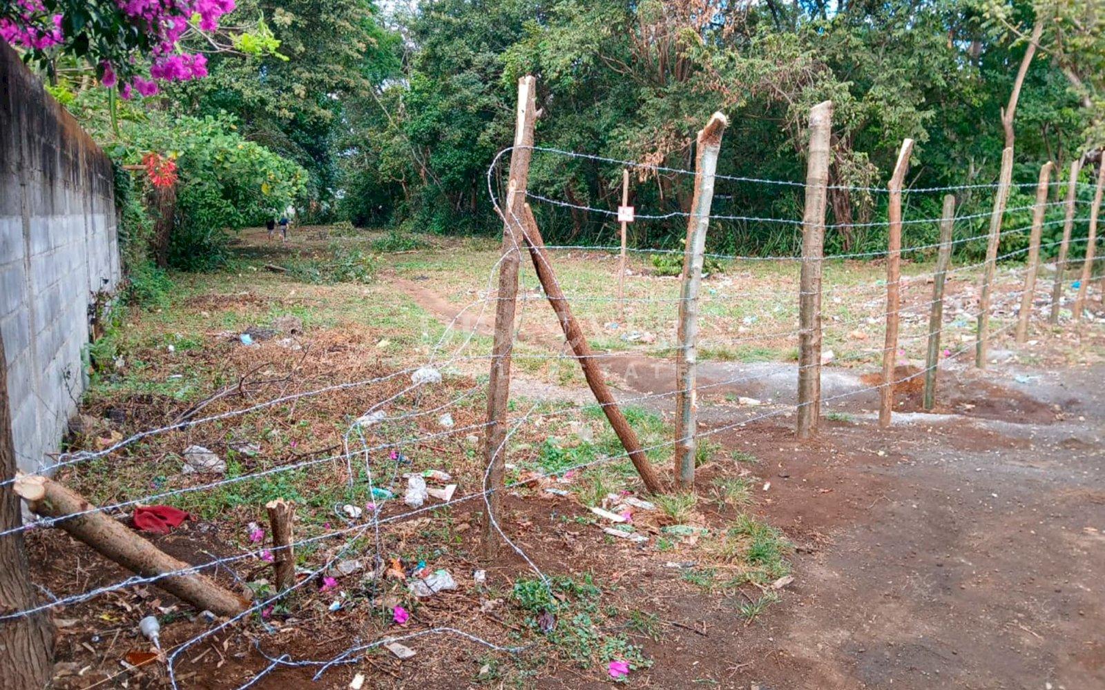 Imagen 4 de la galería