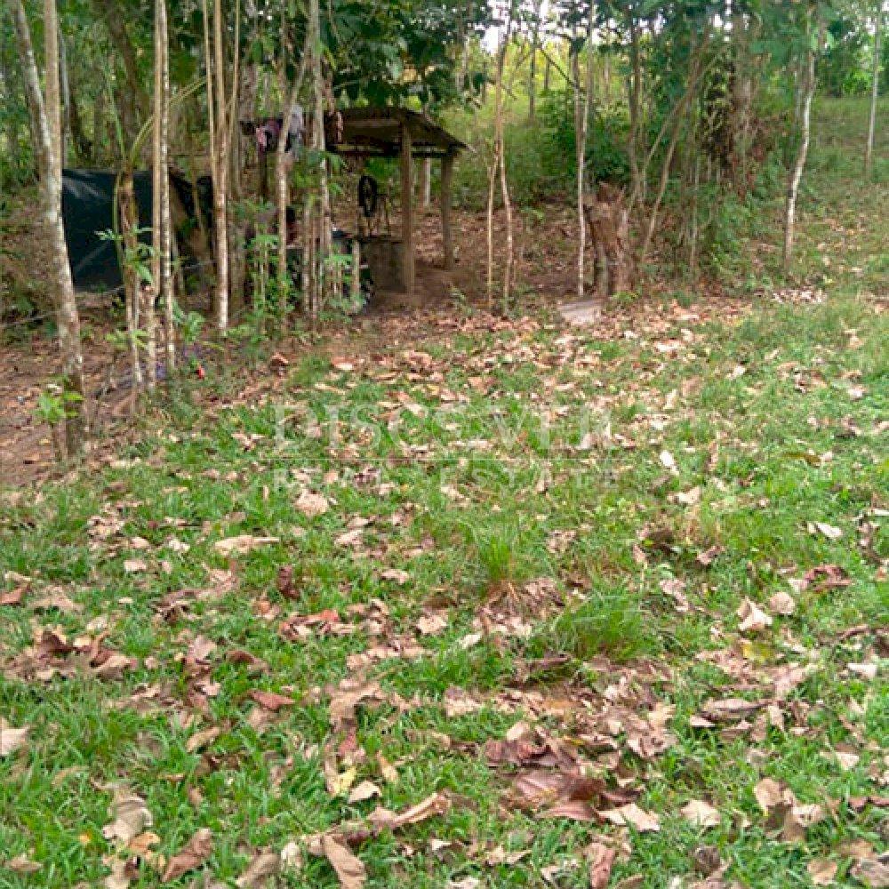 https://images.discovernica.com/propiedad/1600/ID14182_1.jpg