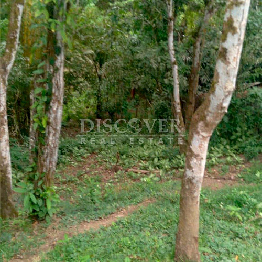 https://images.discovernica.com/propiedad/1600/ID14182_2.jpg