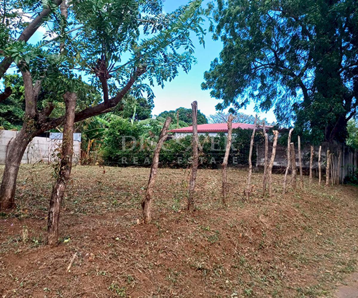 Flat topography land for sale in Carretera Vieja a Leon