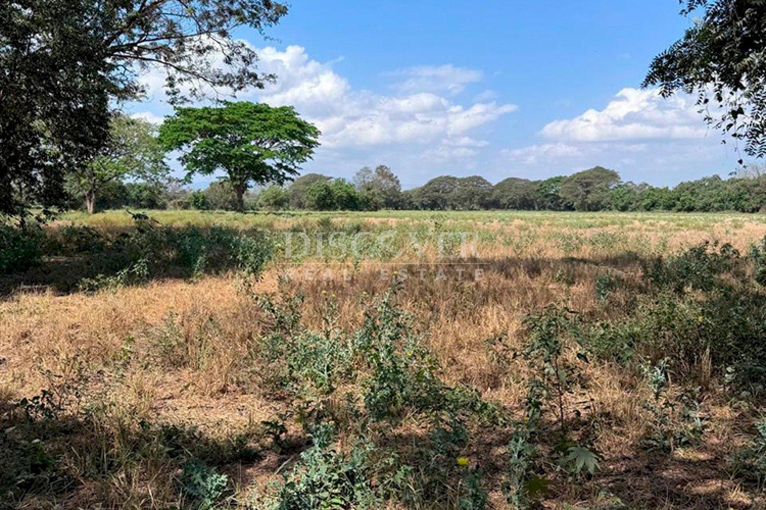  Flat topography land for sale on Sabana Grande Road 