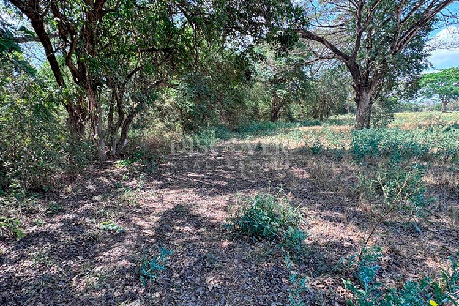  Flat topography land for sale on Sabana Grande Road 