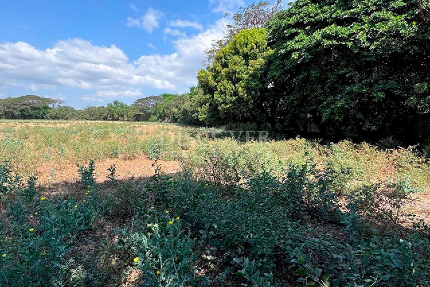  Flat topography land for sale on Sabana Grande Road 