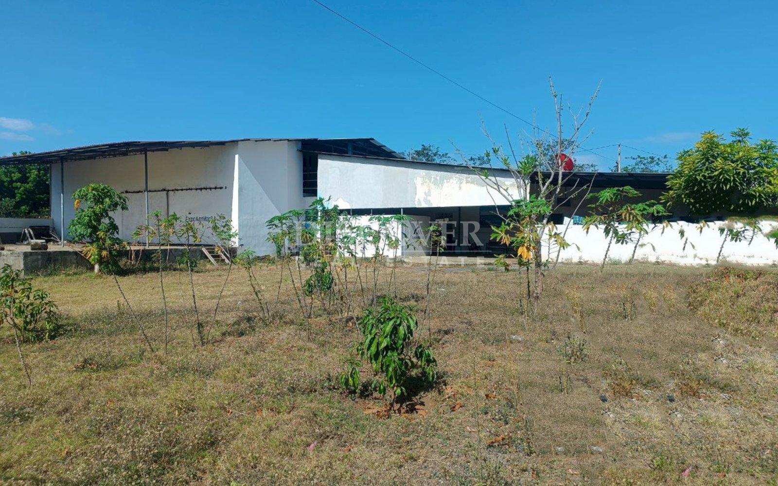 Imagen 3 de la galería