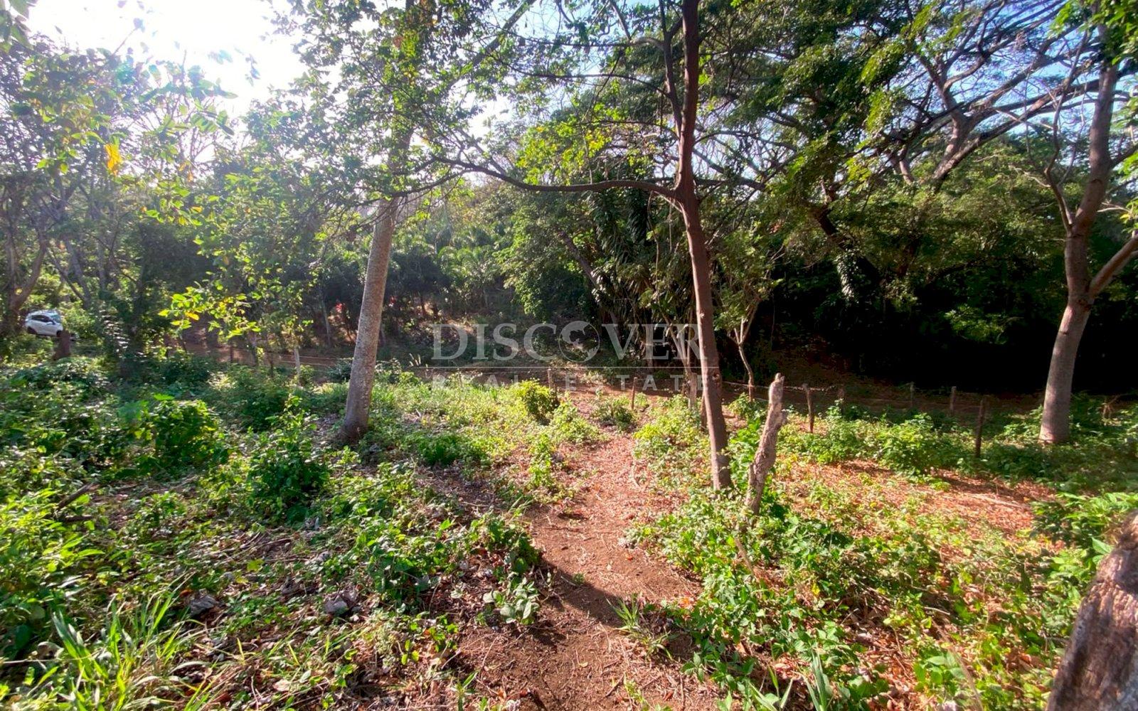  Land for sale located south of Intermezzo del Bosque