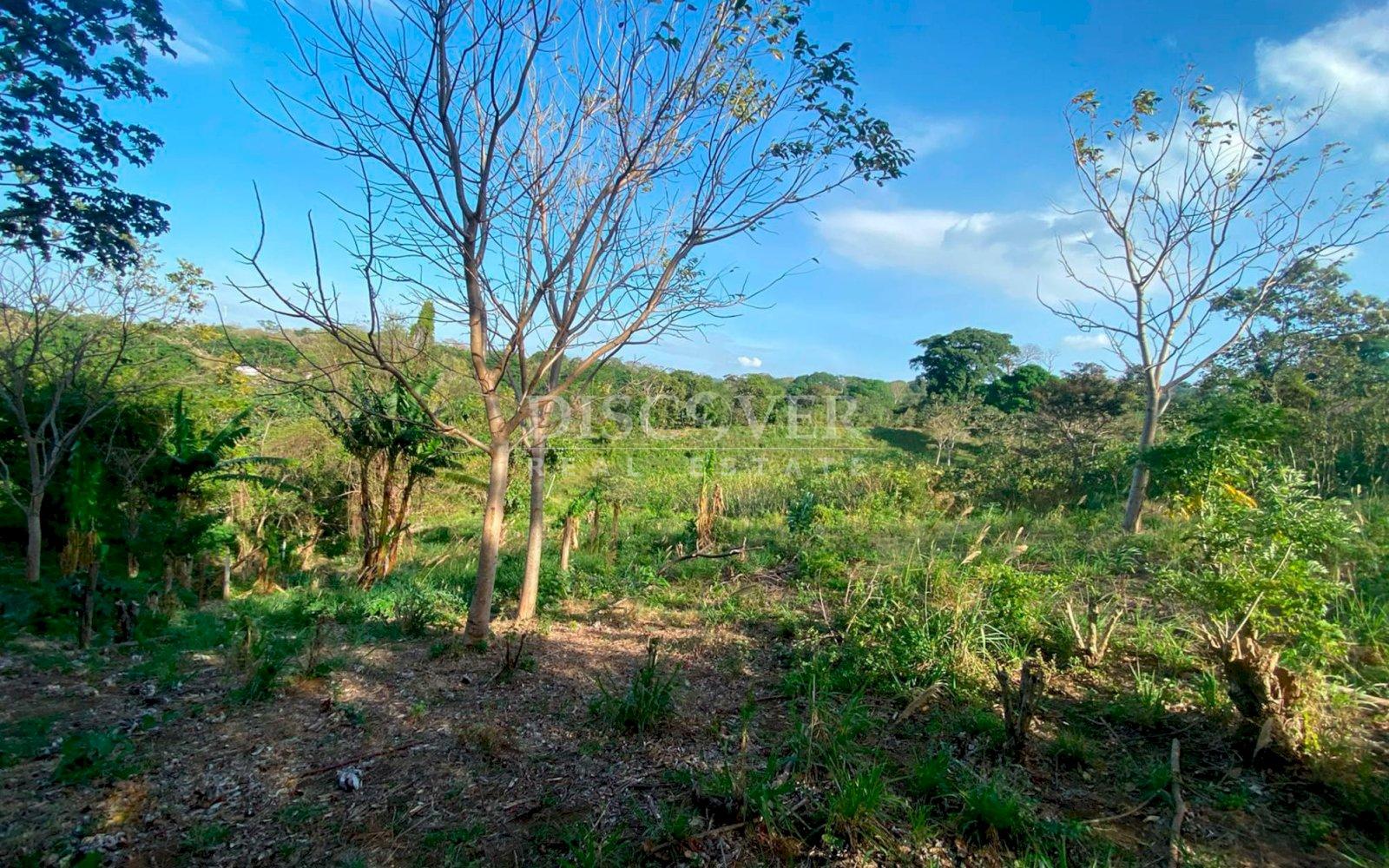  Land for sale located south of Intermezzo del Bosque