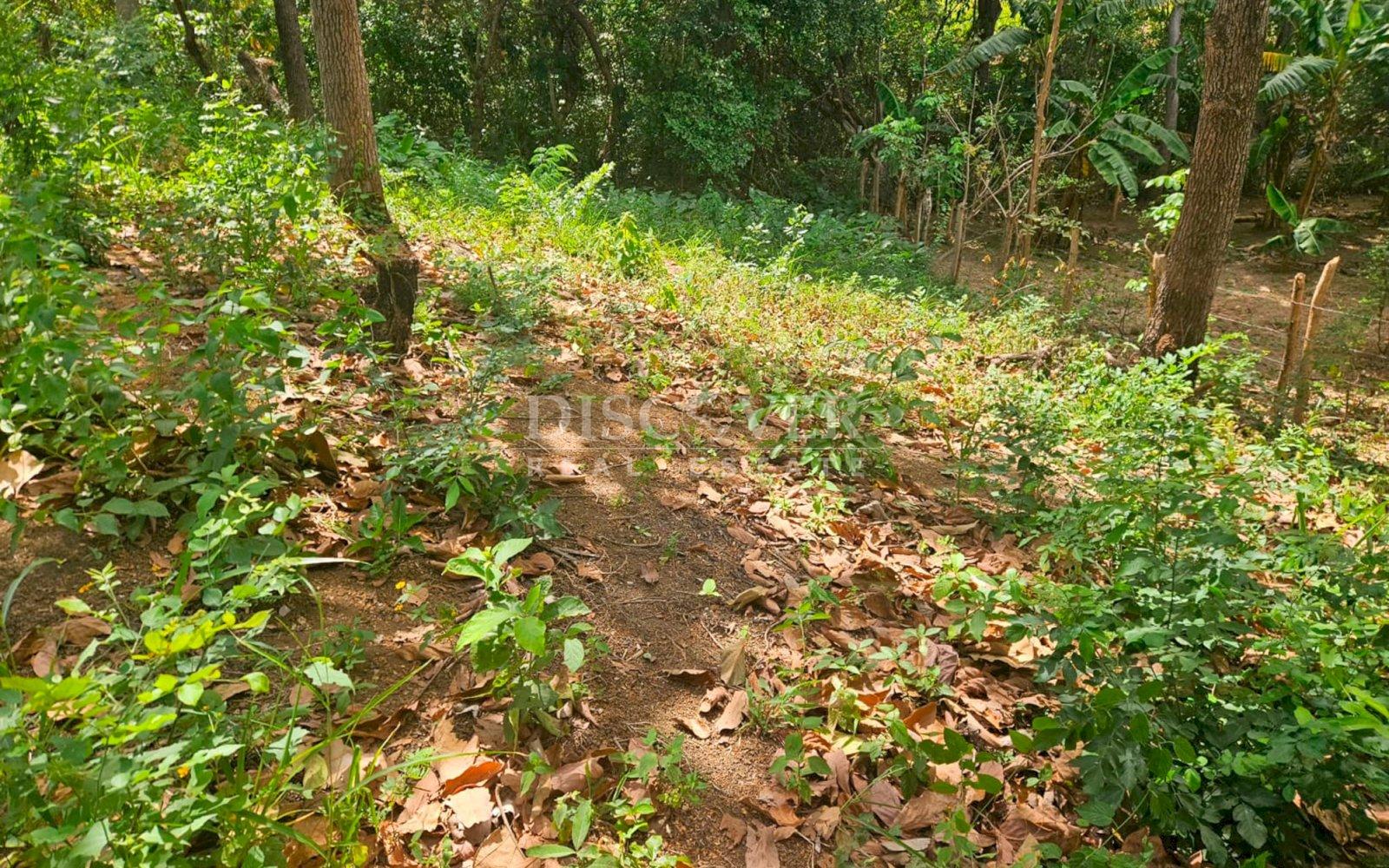 Imagen 4 de la galería