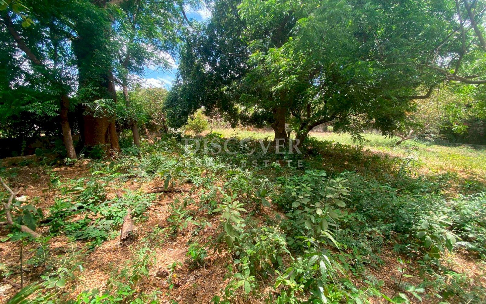  Spacious Land Ideal for Housing Project or Investment