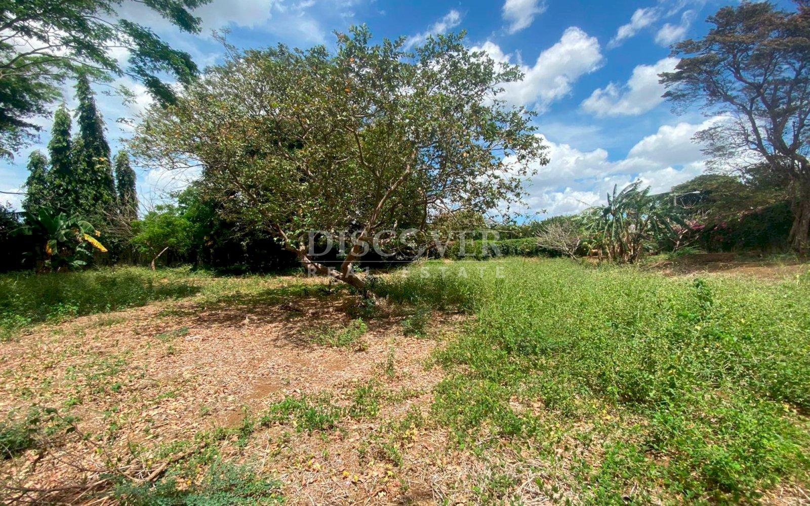  Spacious Land Ideal for Housing Project or Investment