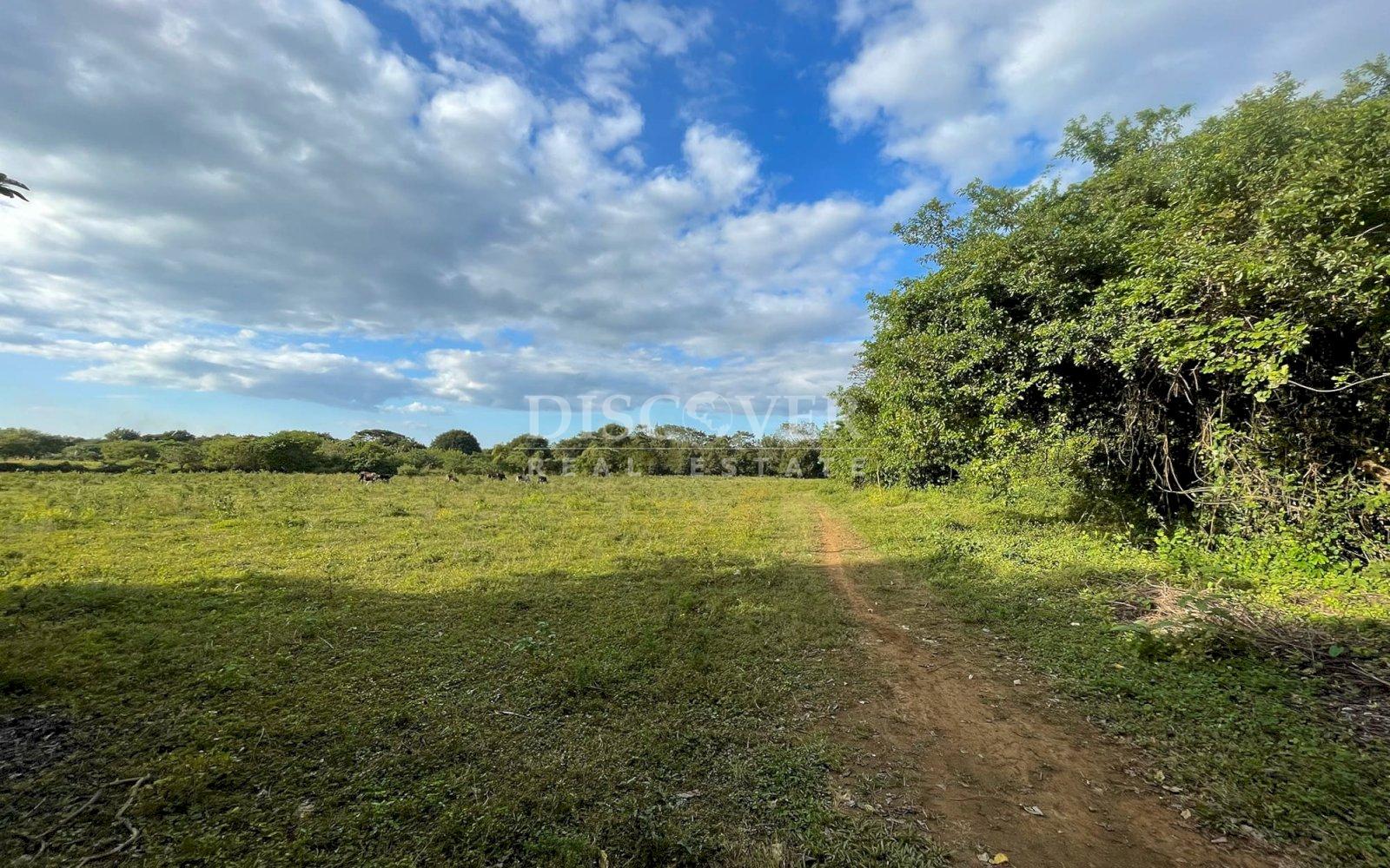  Semi-urban land for sale in Nindirí