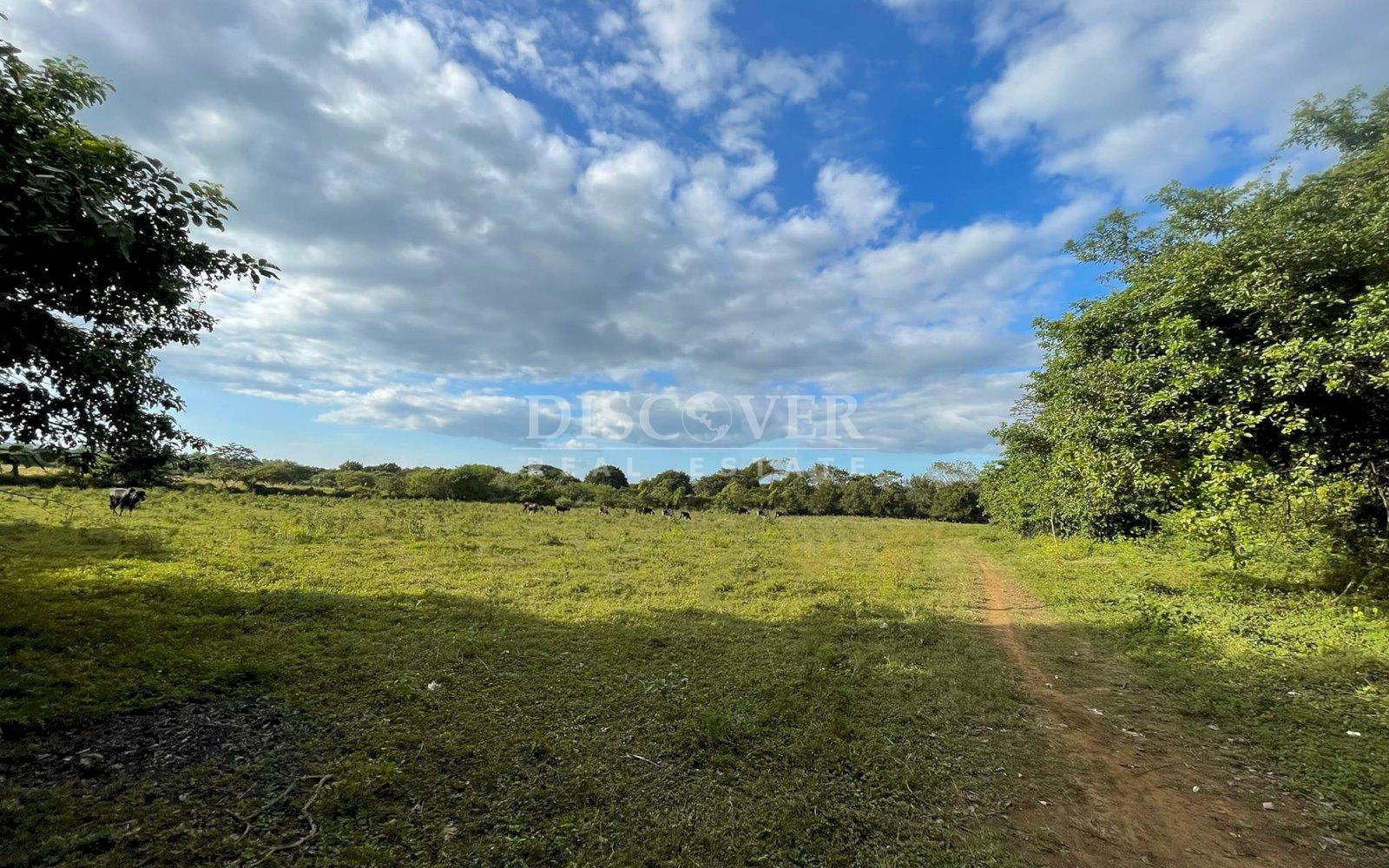  Semi-urban land for sale in Nindirí