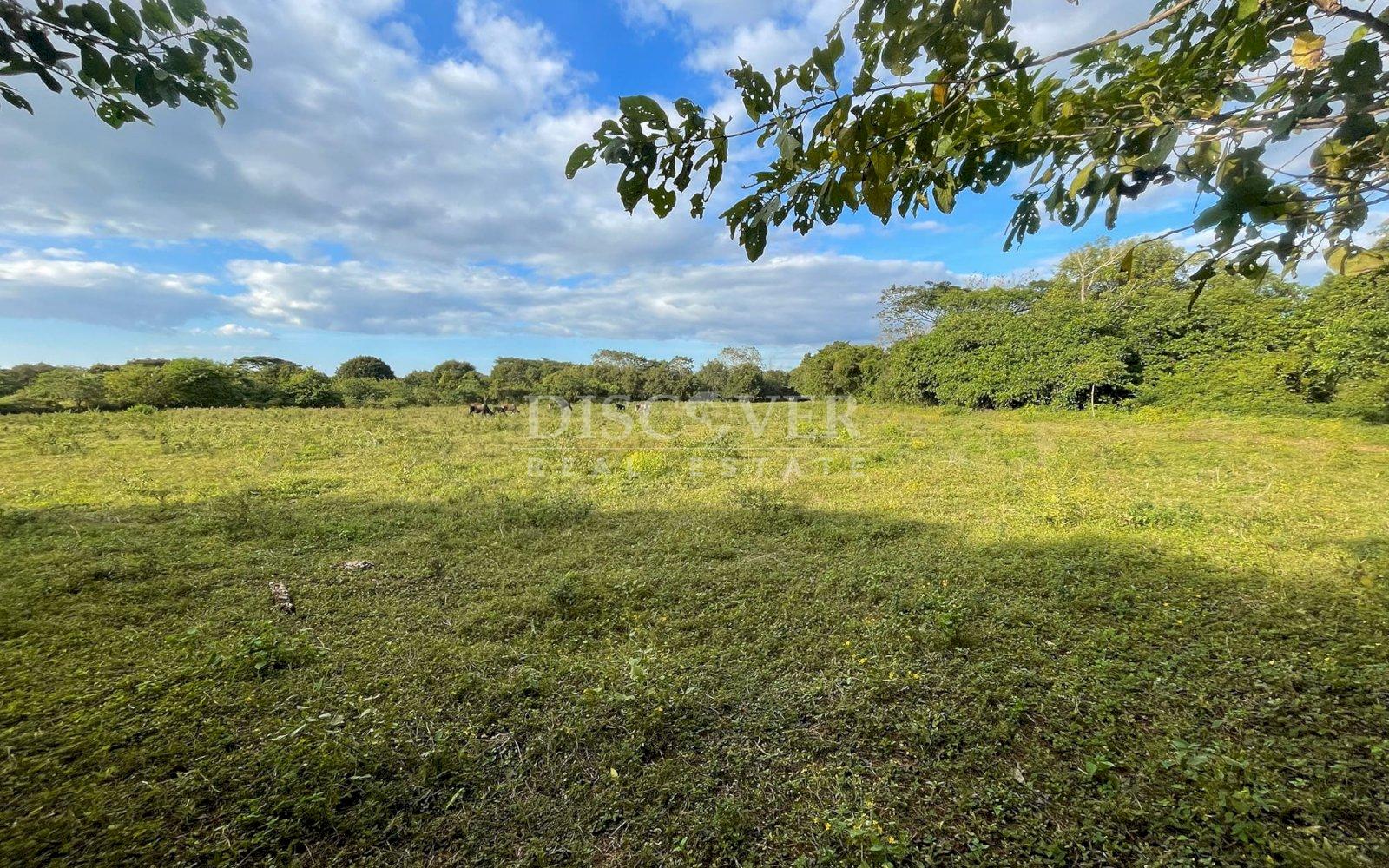  Semi-urban land for sale in Nindirí