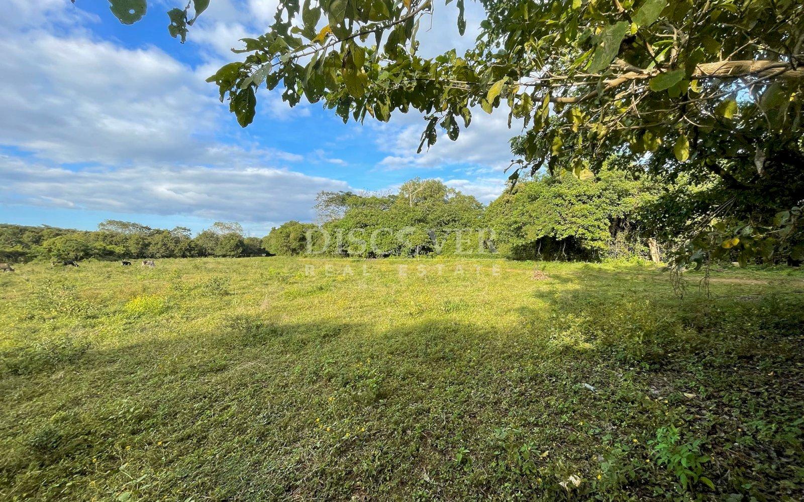  Semi-urban land for sale in Nindirí