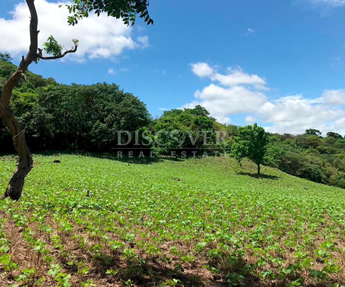 https://images.discovernica.com/propiedad/1600/ID14214.png