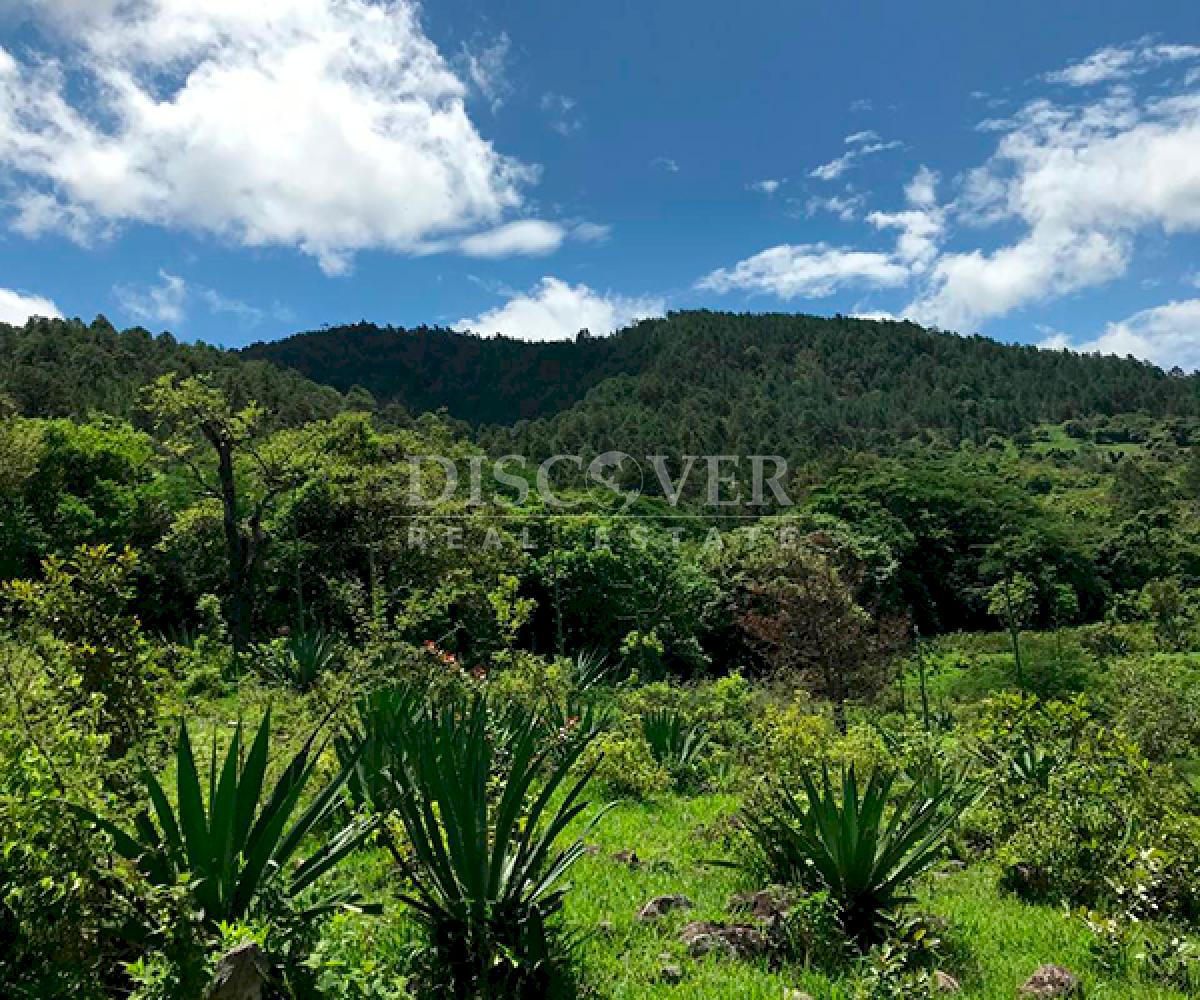 https://images.discovernica.com/propiedad/1600/ID14214_2.png