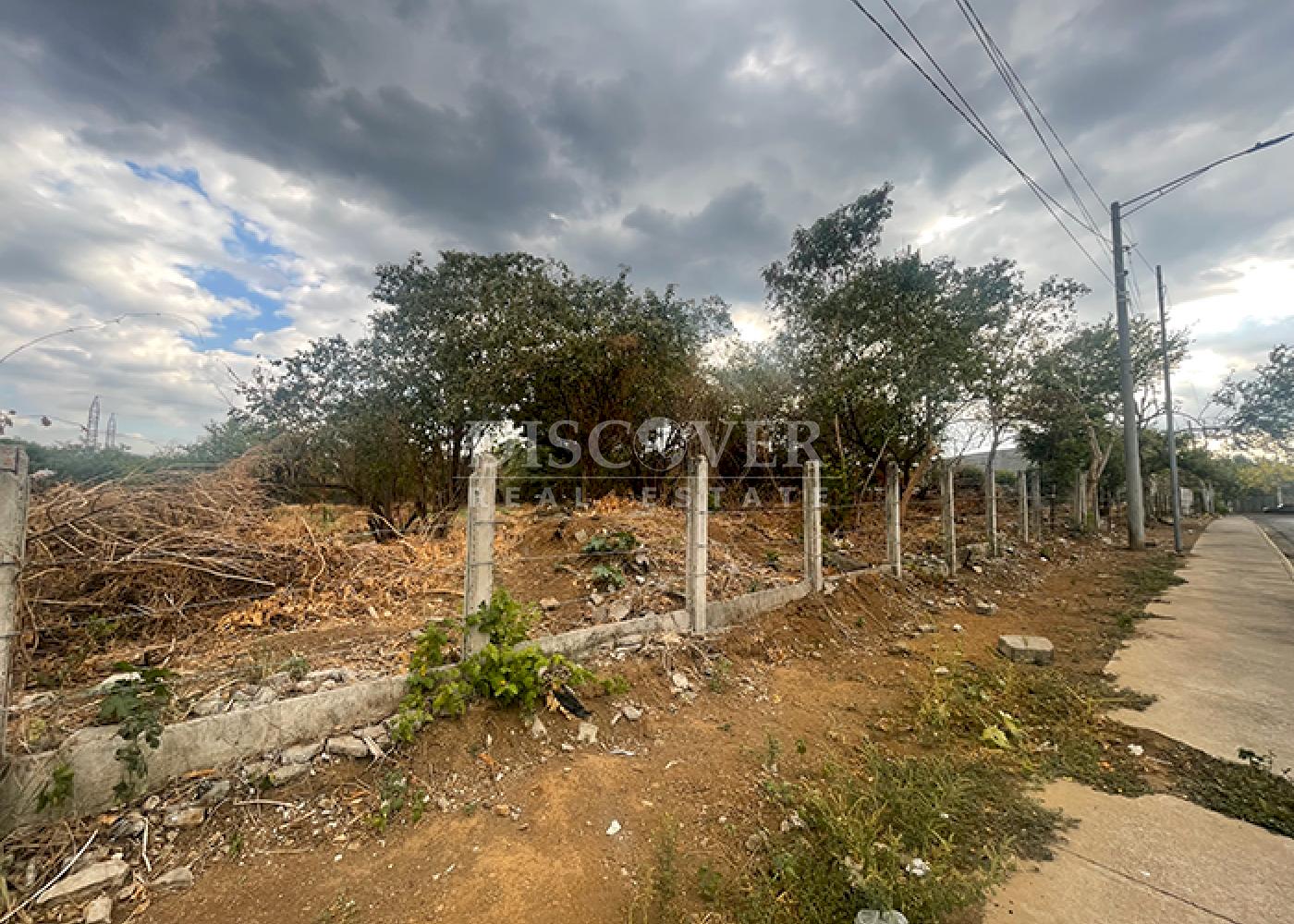 Imagen 4 de la galería