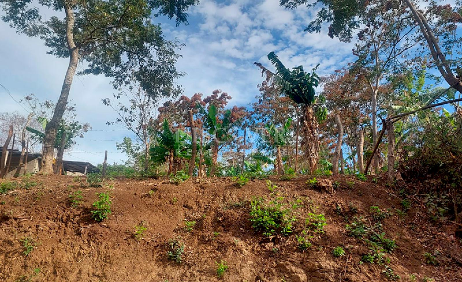 Land for sale in Jinotepe - Ideal for a housing project or investment
