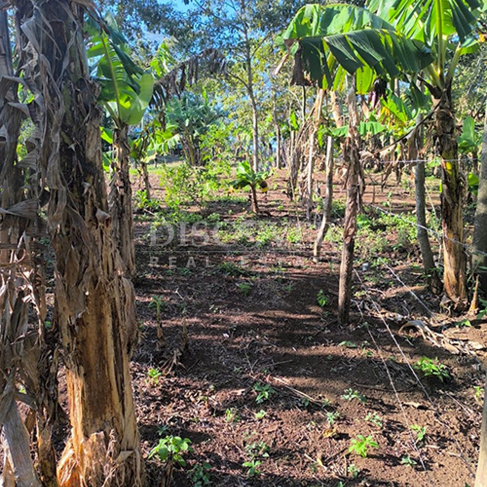 Land for sale in Jinotepe - Ideal for a housing project or investment
