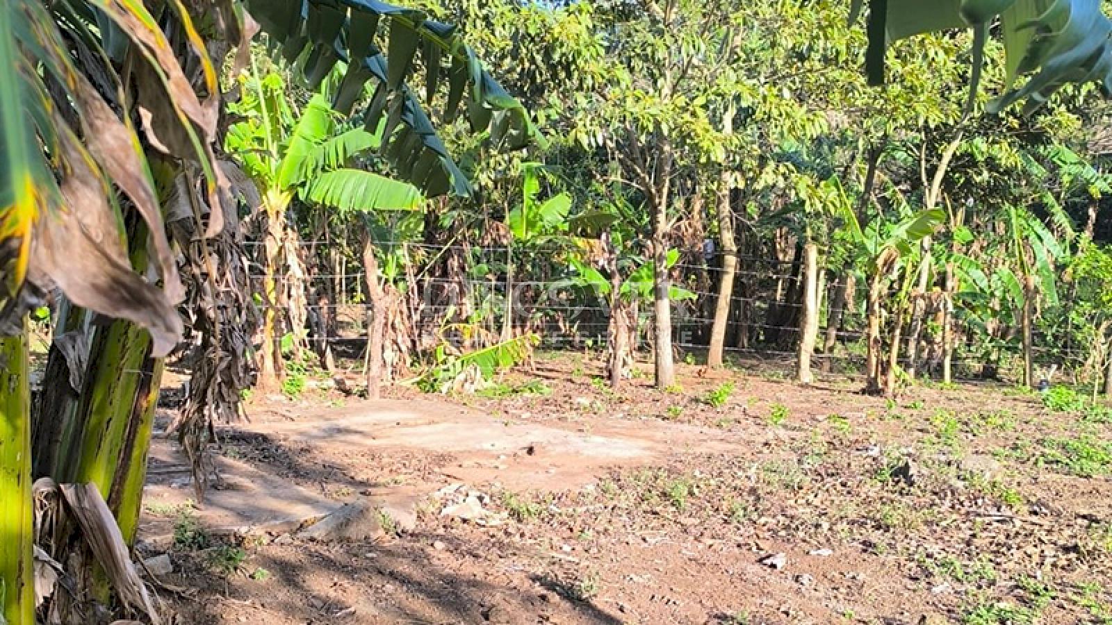 Land for sale in Jinotepe - Ideal for a housing project or investment
