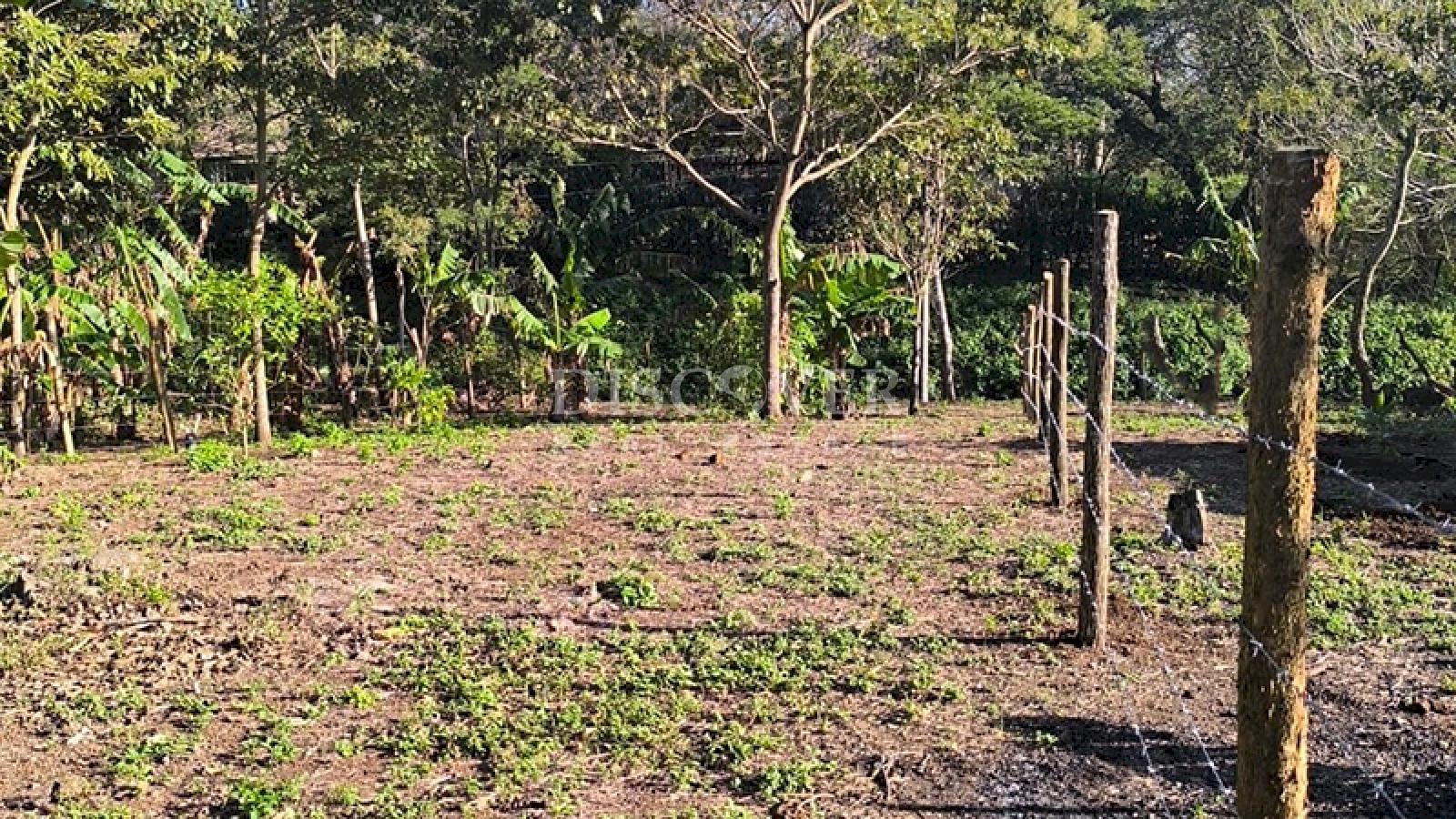 Land for sale in Jinotepe - Ideal for a housing project or investment
