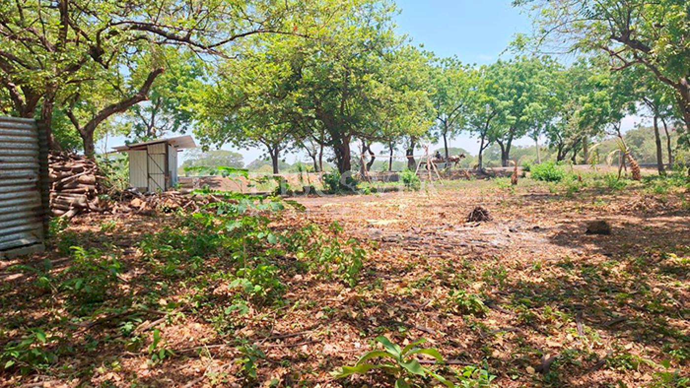 Imagen 3 de la galería