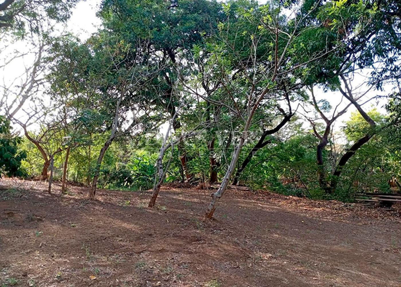 Imagen 3 de la galería