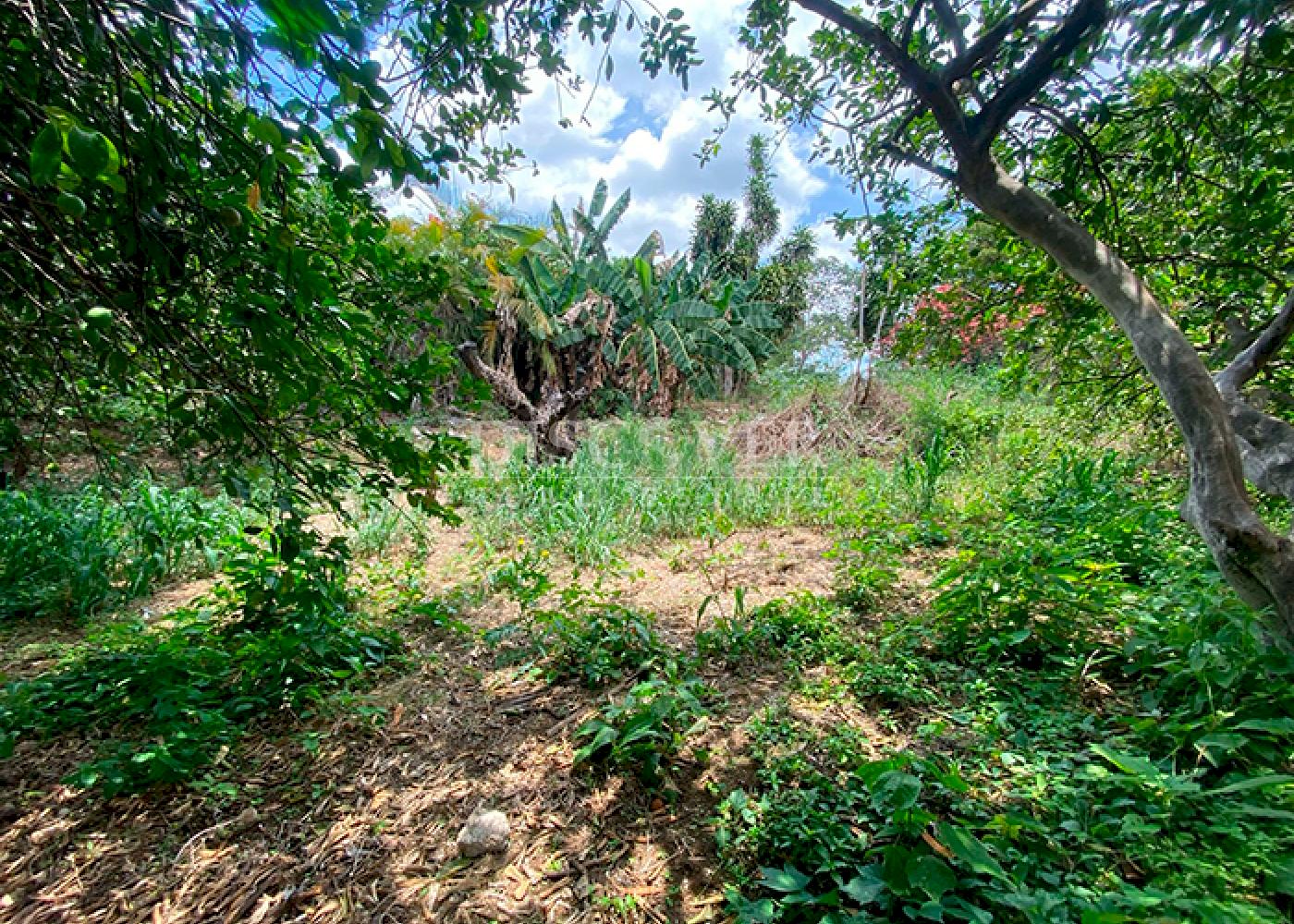  Land for Sale South of Intermezzo del Bosque – Prime Location Surrounded by Nature