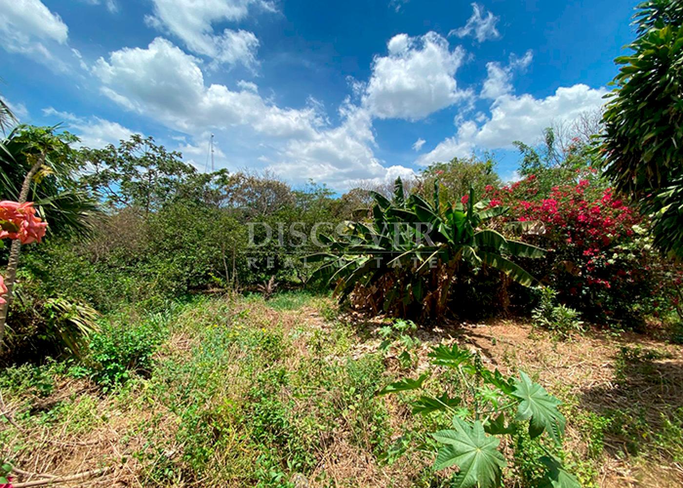  Land for Sale South of Intermezzo del Bosque – Prime Location Surrounded by Nature