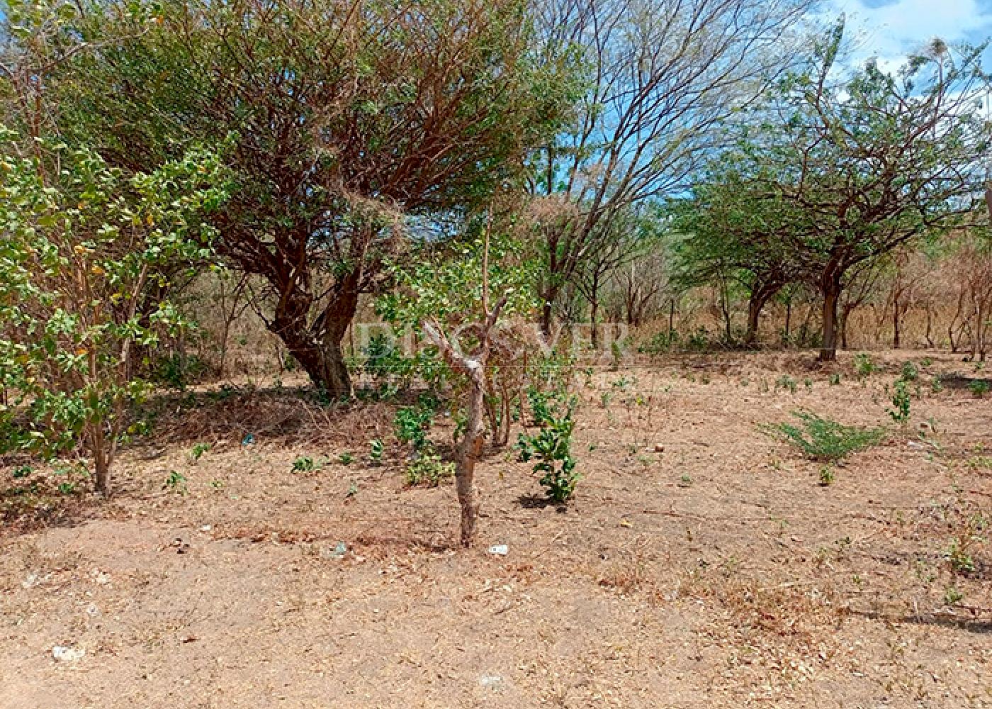Imagen 2 de la galería