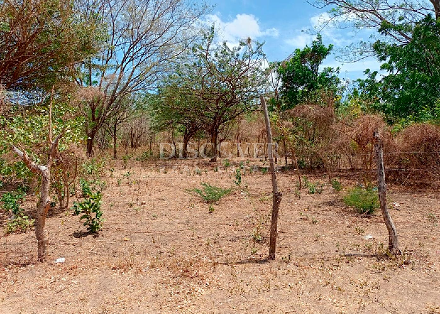 Imagen 1 de la galería