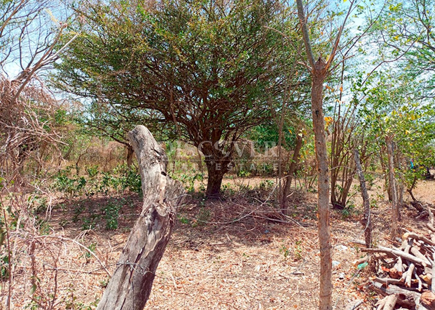 Imagen 4 de la galería