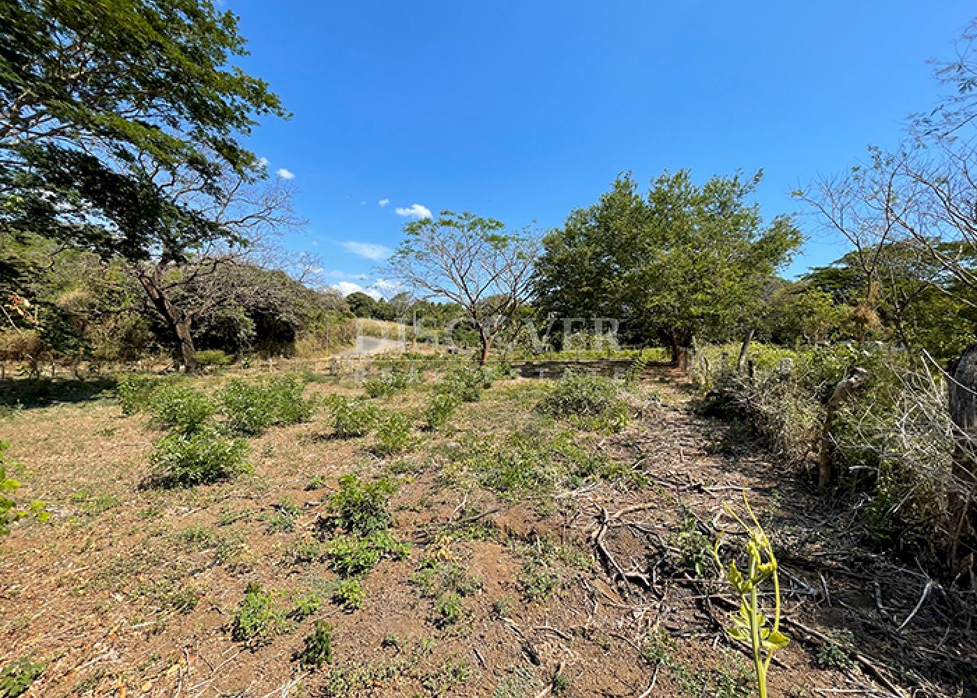  Corner lot for sale - Carretera Vieja a Leon 