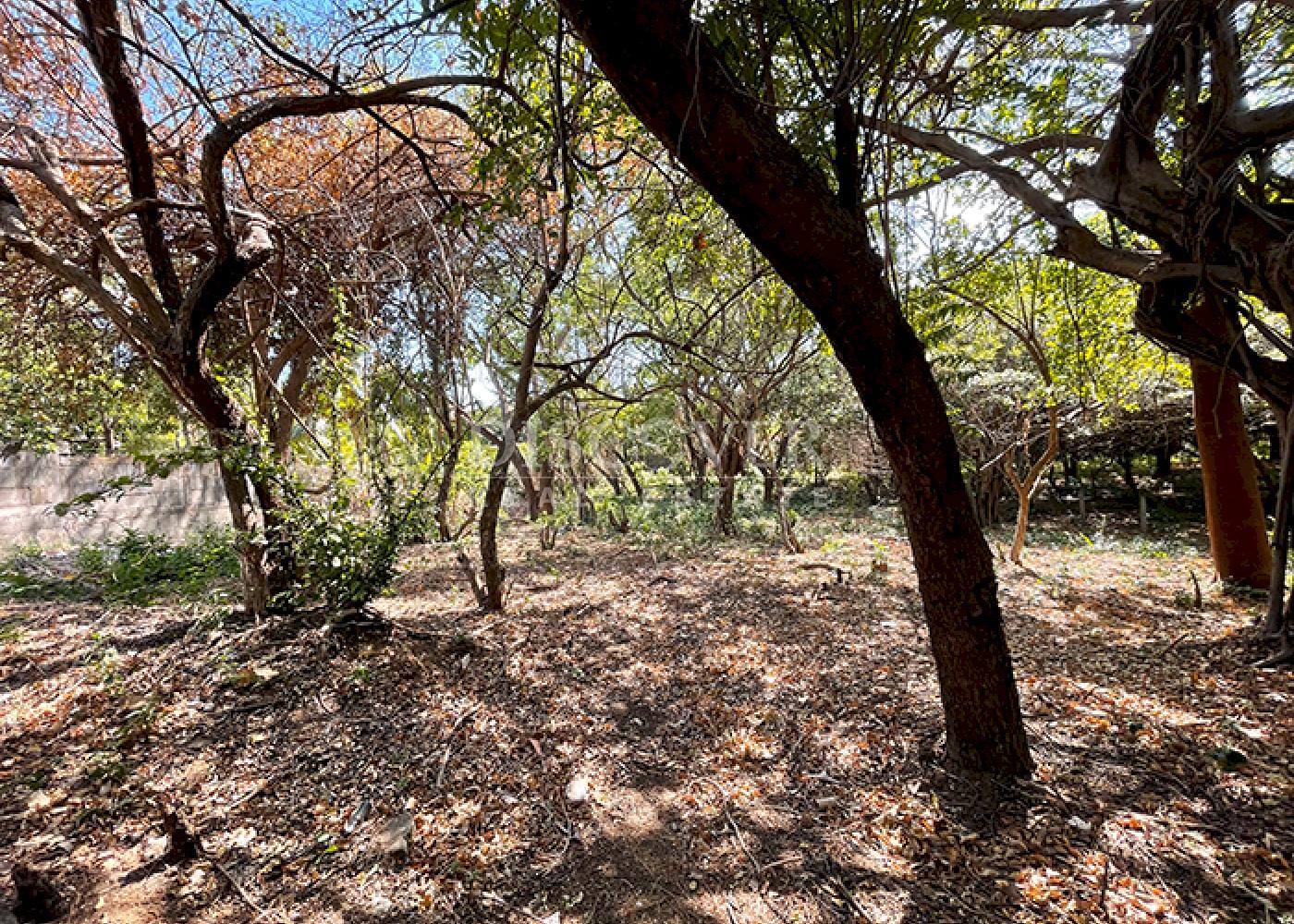  Land on main road for sale - Carretera Vieja a León
