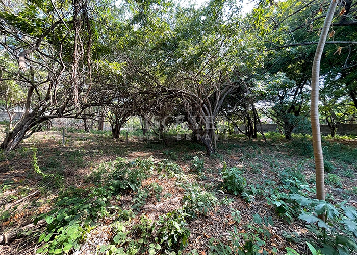  Land on main road for sale - Carretera Vieja a León
