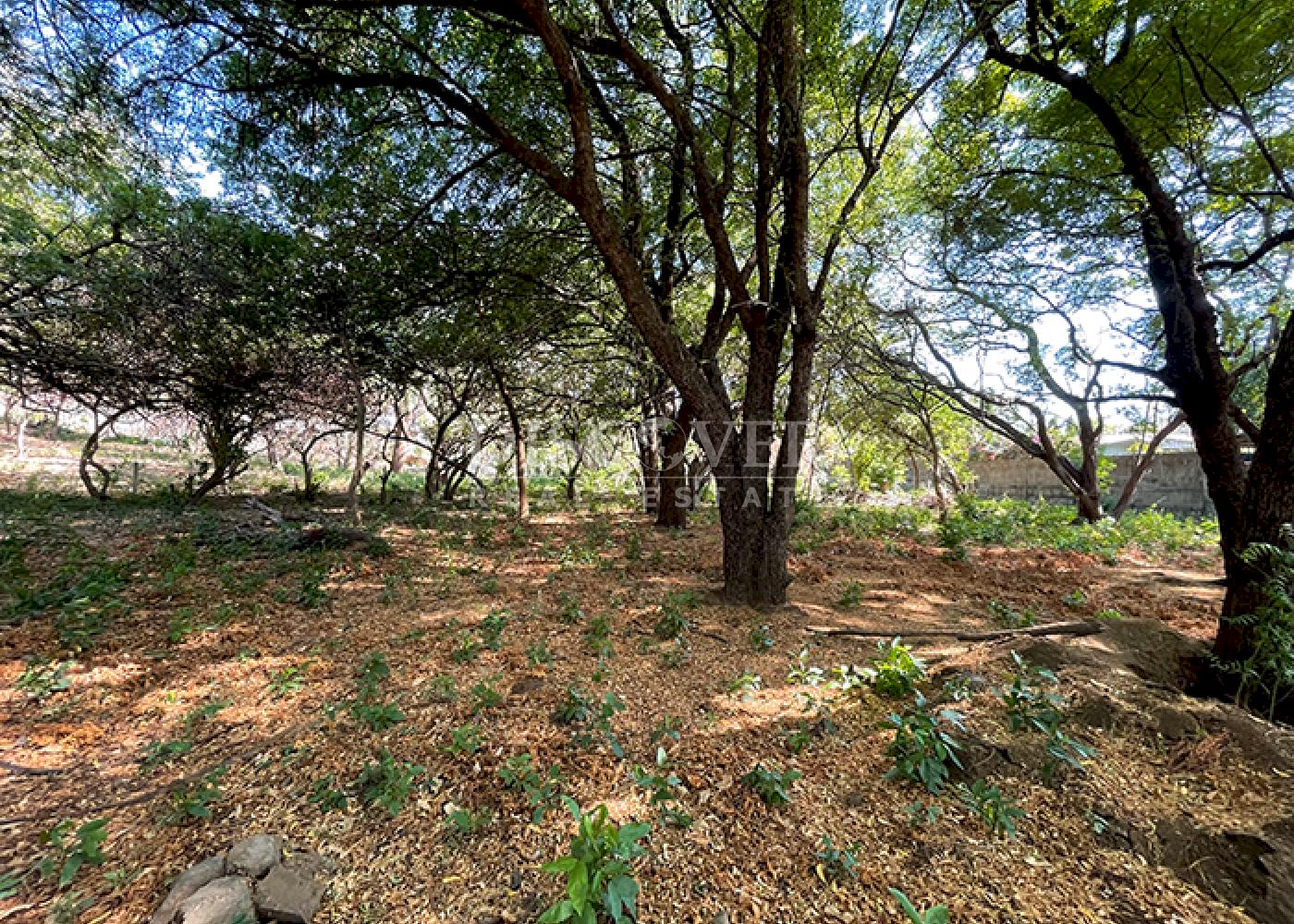  Land on main road for sale - Carretera Vieja a León
