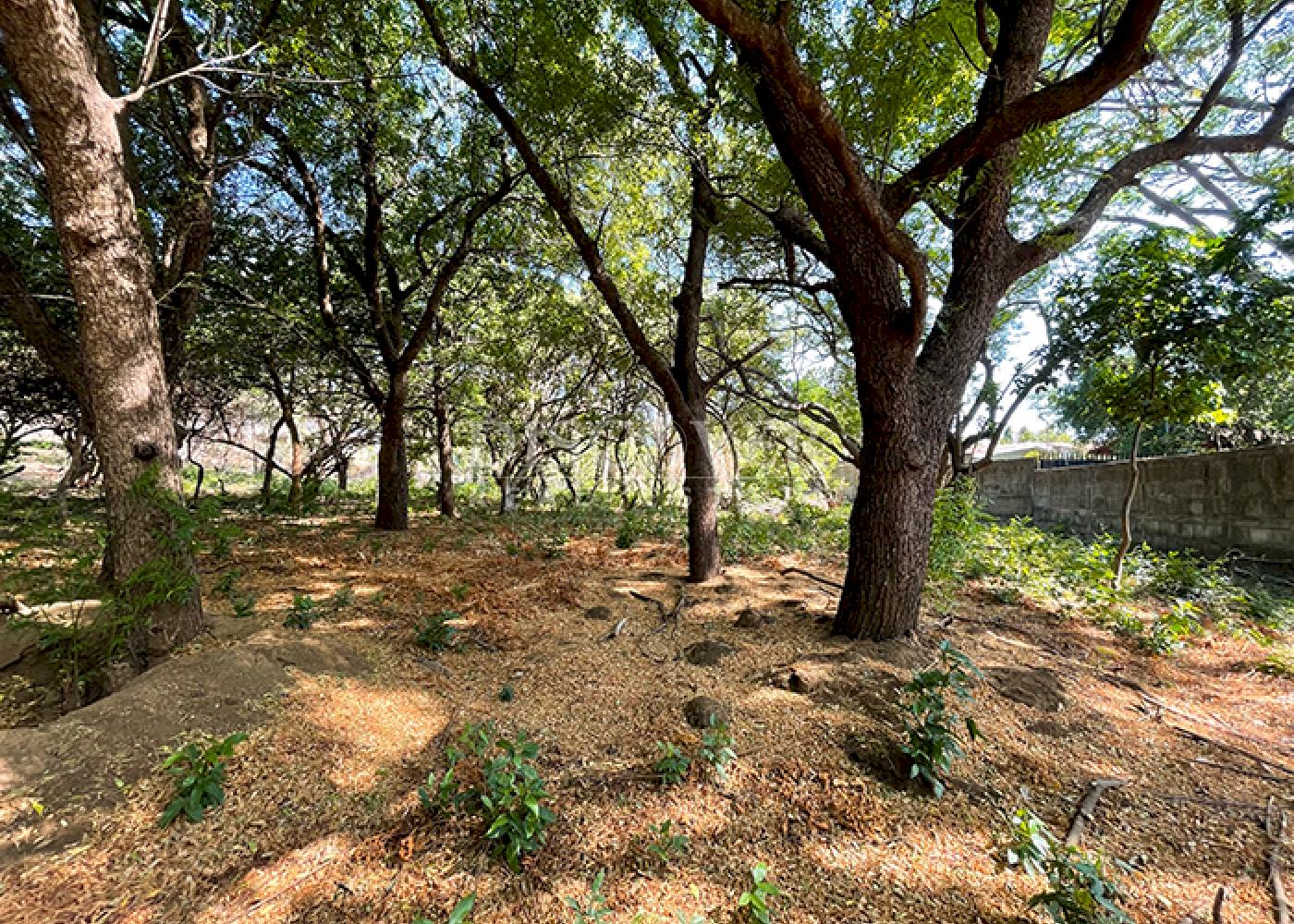  Land on main road for sale - Carretera Vieja a León
