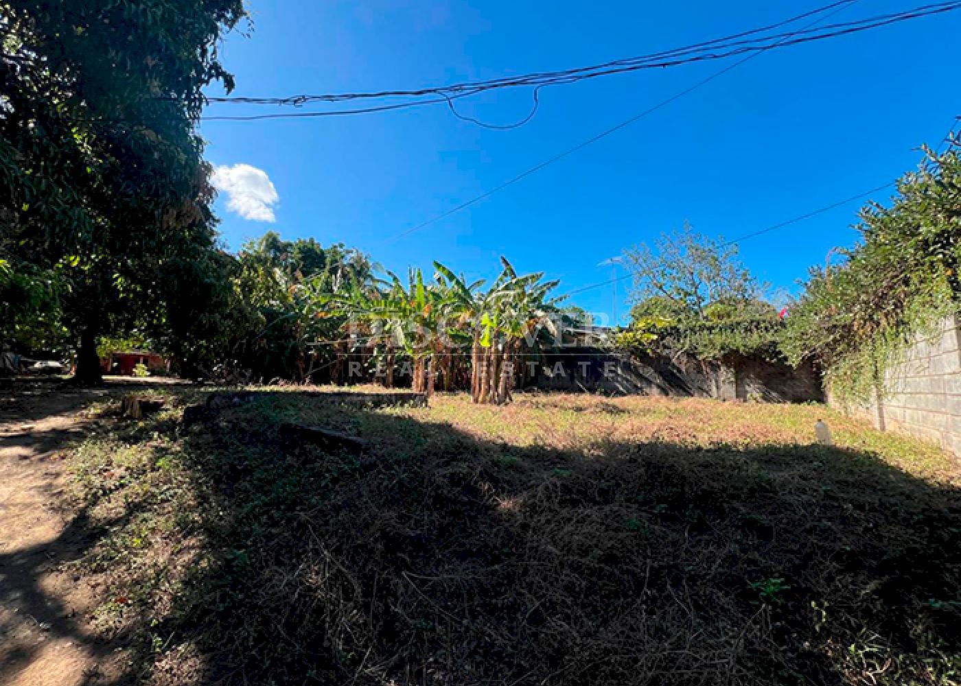Imagen 3 de la galería