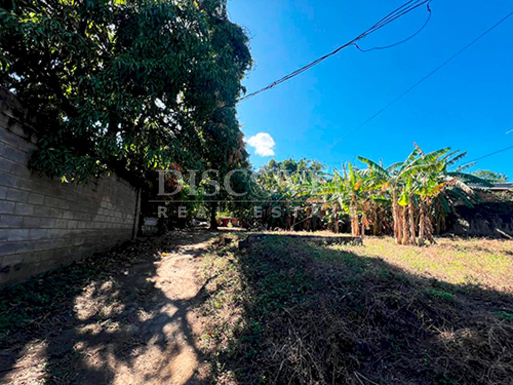 Imagen 6 de la galería